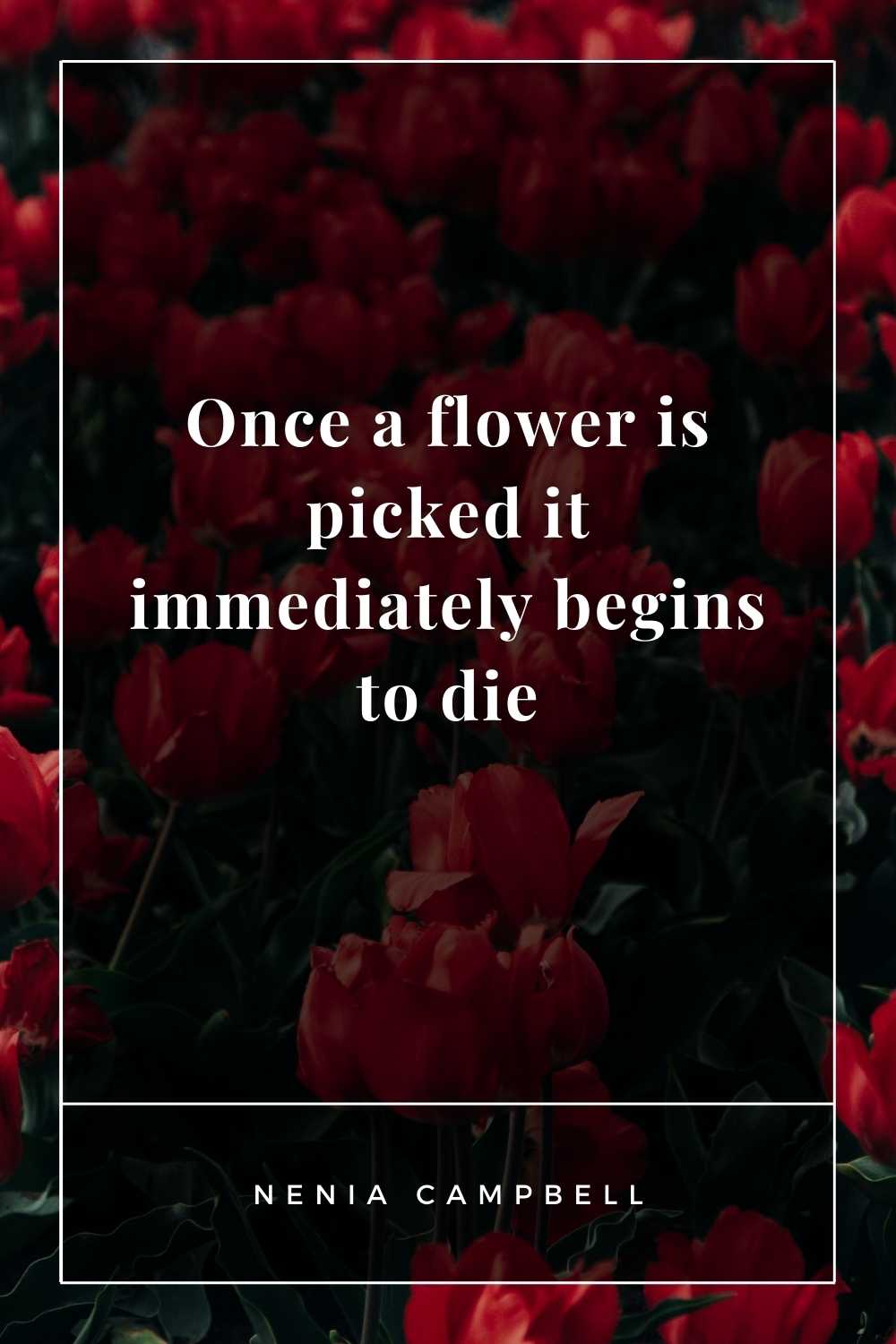 40+ Falling & Dying Flower Quotes & Sayings Related to Life