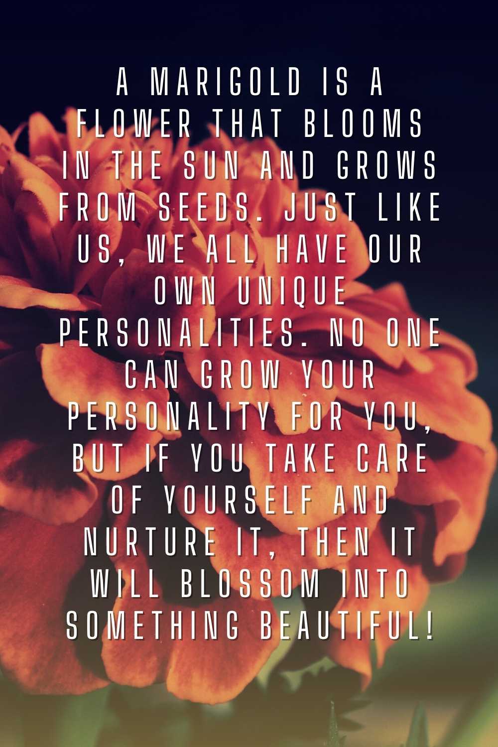 30+ Beautiful Marigold Flower Quotes and Captions