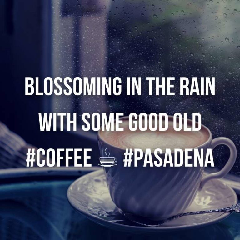 70+ Rain and Coffee Quotes and Captions for Instagram