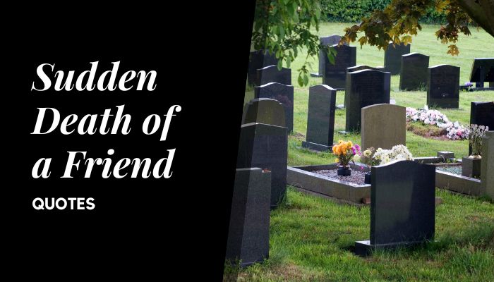 80 Rest In Peace Quotes For Sudden Death Of A Friend